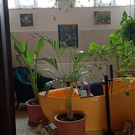 Mor Salkim Bahce