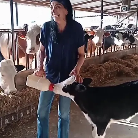 Mor Salkim Bahce *